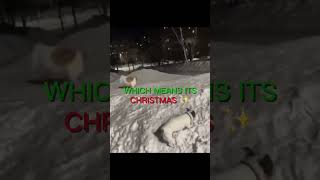Summer is over #summer #me #fun #music #song #shorts #video #funny #cille #sub #subscrid #christmas