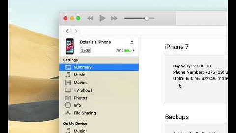 How to find out iPhone or iPad UDID
