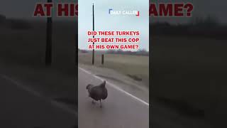 These Turkeys Just Owned This Cop...