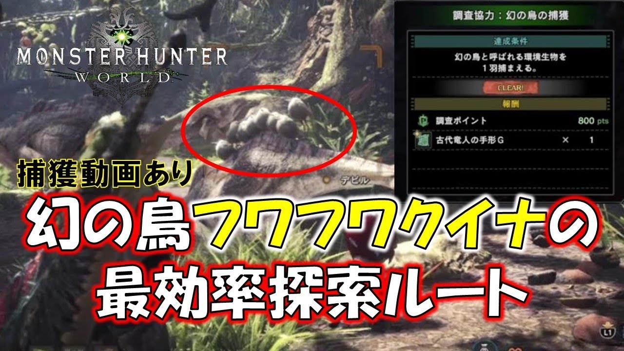 幻の鳥 フワフワクイナ 最効率探索ルート モンスターハンターワールド Mhw Youtube