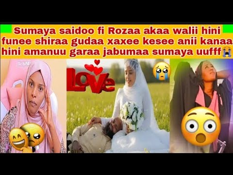 Mali Sumaya Hini Maratee Mo Sargi Saidoo Fi Rozaa Balesu Fi Kutatee Katee Wayoo