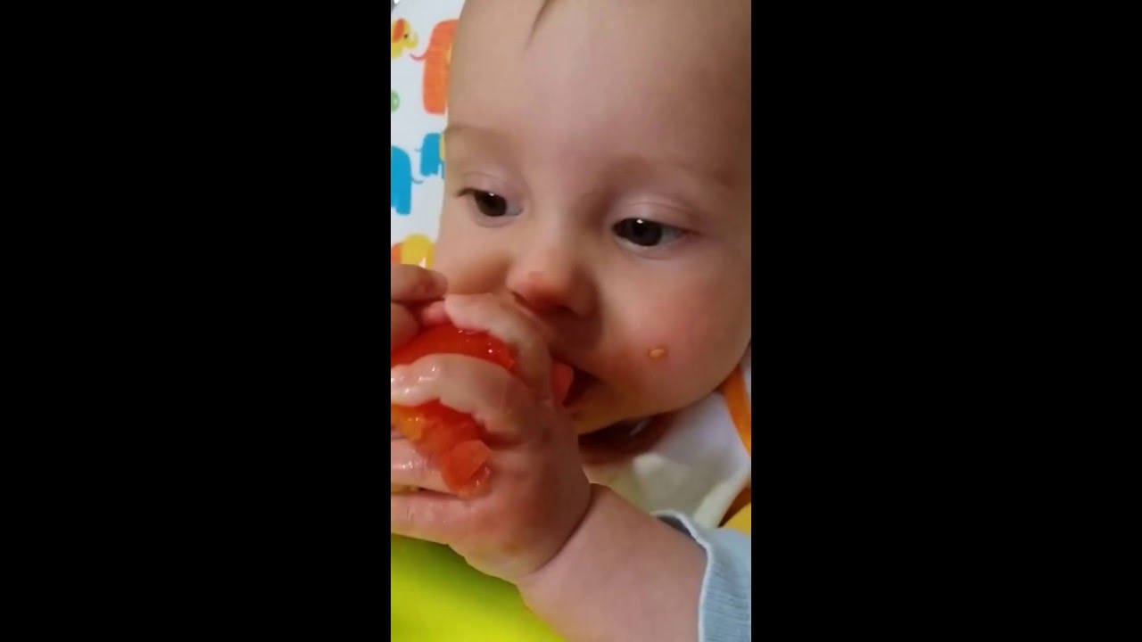 Blw Bebe 6 Meses Pruebo El Tomate Youtube