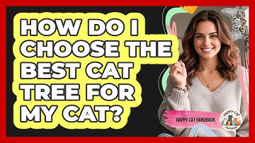 How Do I Choose The Best Cat Tree For My Cat? - Happy Cat Handbook