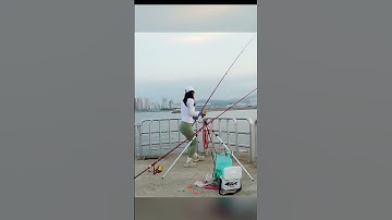 ôi em gái bo cá khỏe quá # #fishing #cauca #câu #fishinglife #fish #carpfishing