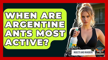 When Are Argentine Ants Most Active? - Insects and Invaders