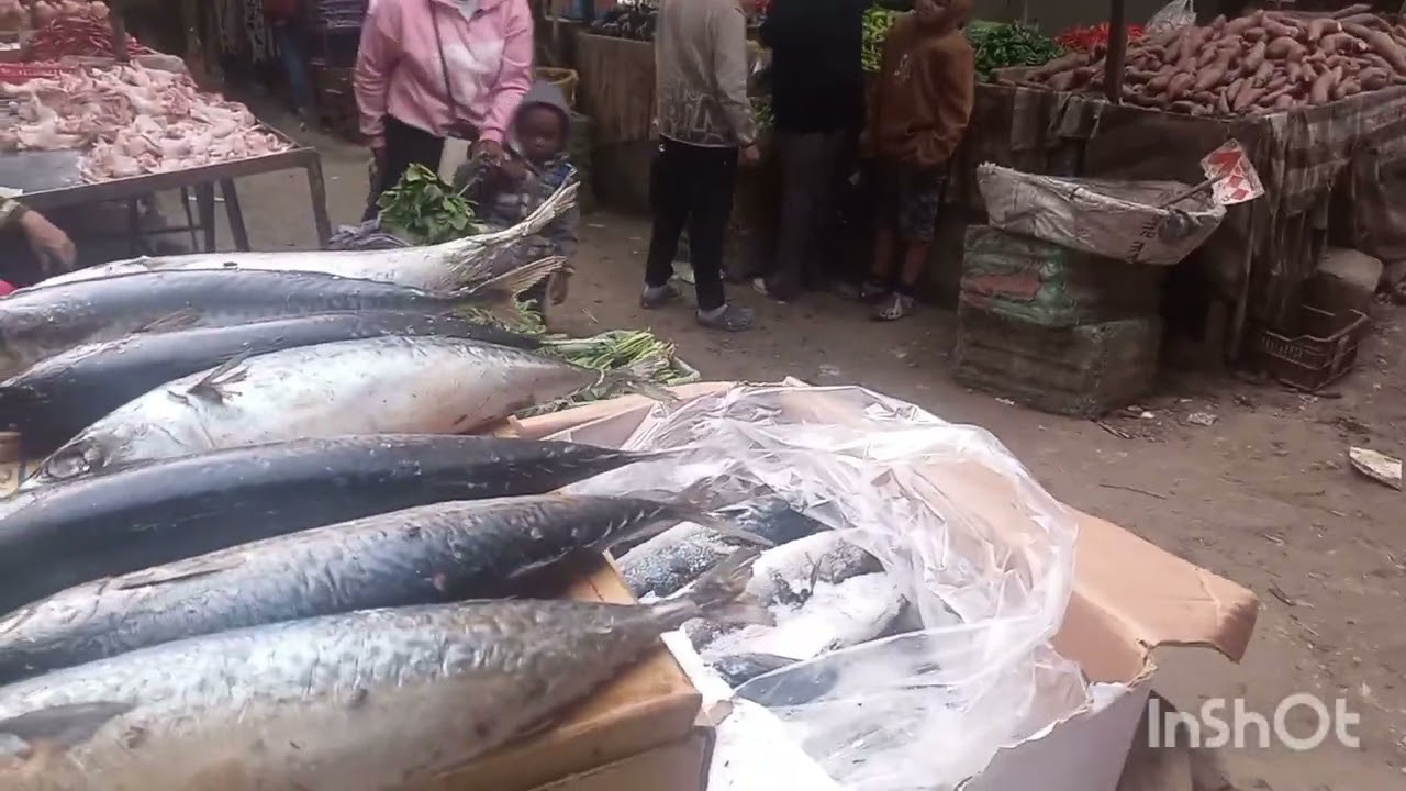 احلى اسعار السمك🦀🦐 في السوق النهارده يلا نشوف الفيديو 🐟