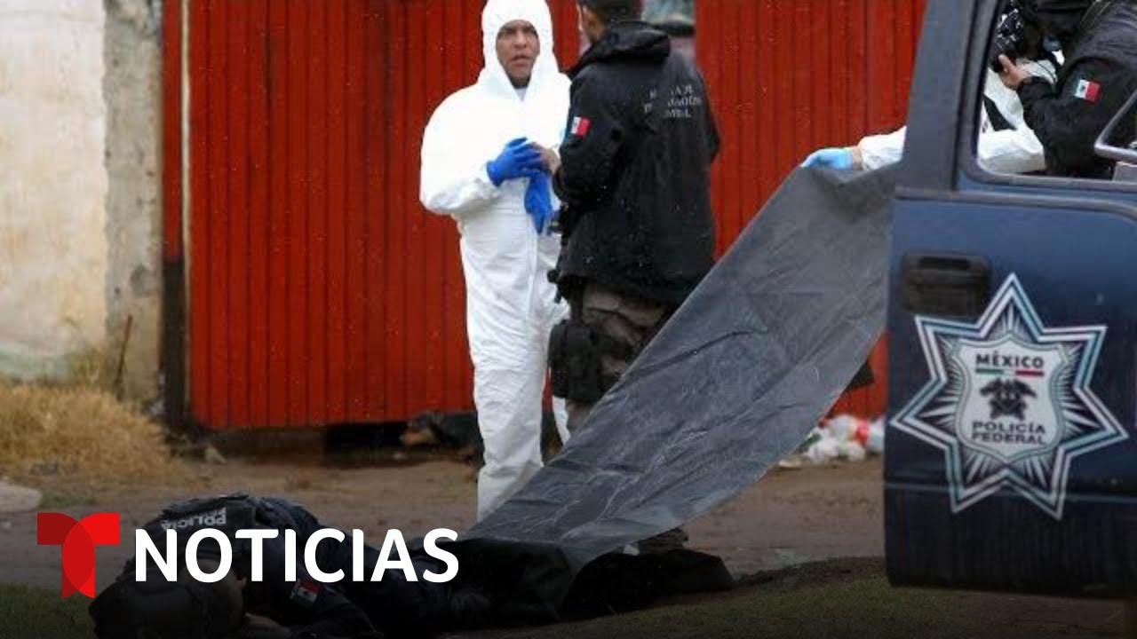Experto en seguridad analiza asesinato de policías en México | Noticias Telemundo