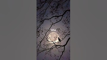 قران كريم #قرآن #اكسبلور #راحة_نفسية
