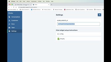 How to add globo chat widget to your wordpress website