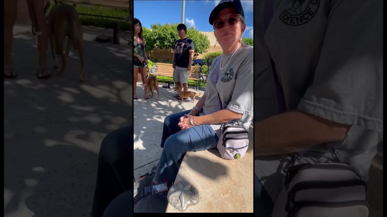 Achieving Balance in Obedience: Service Dogs and Puppies |  Online and Oahu