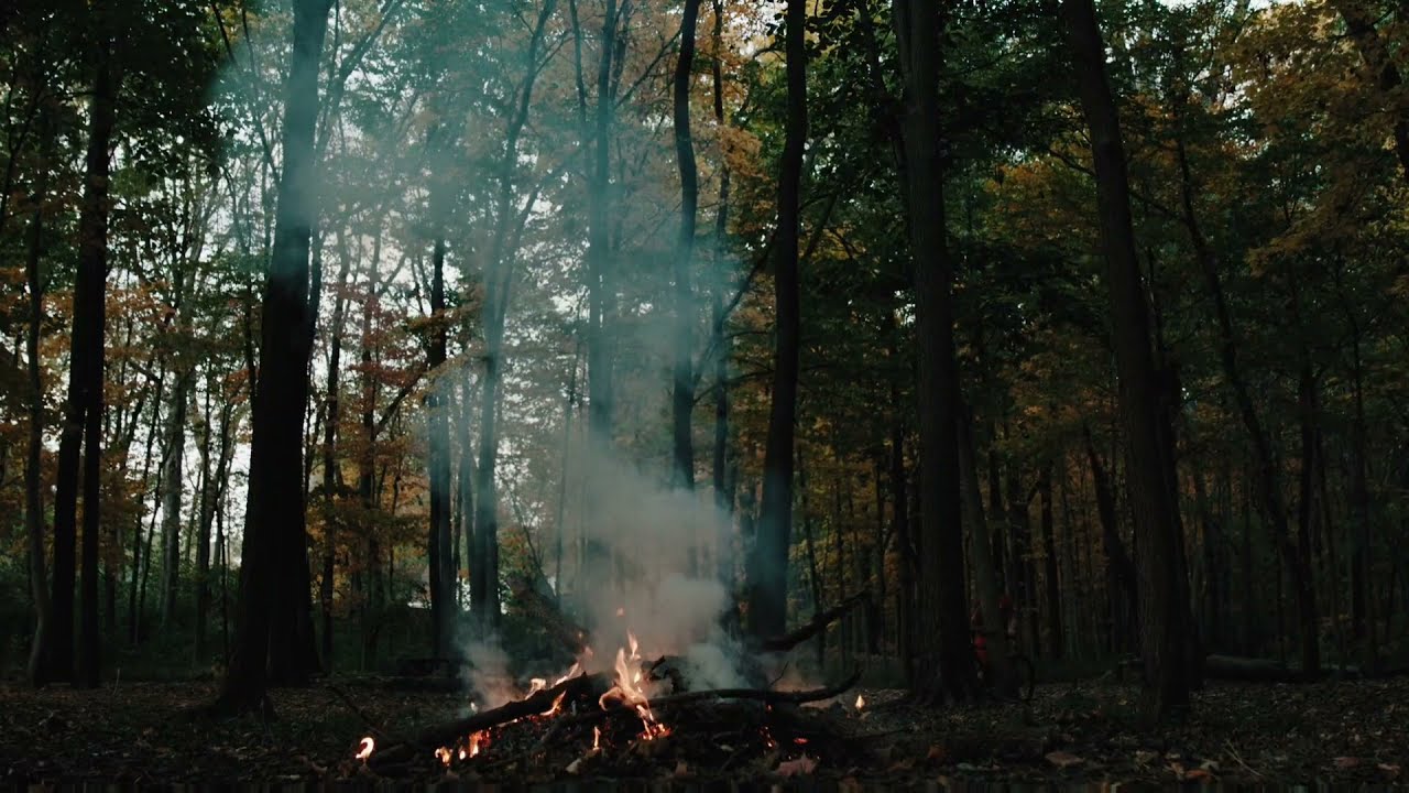 Beautiful music for Relaxing. Outodoor music. Music of Forest and Fire.