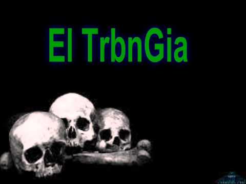 مهرجلن اضربلك جحرين من الطربنجية