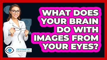 What Does Your Brain Do With Images From Your Eyes? - Optometry Knowledge Base