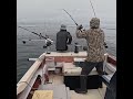 May 24, 2026 ROBBIES KING SALMON #From The Bottom Up Fishing And Outdoors #kingsalmon #michigan