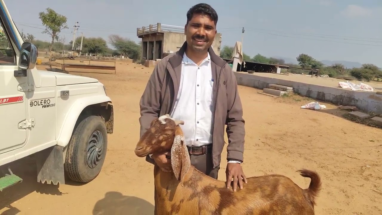 JASRaj Gurjar goat farm house 🏠 8824399018