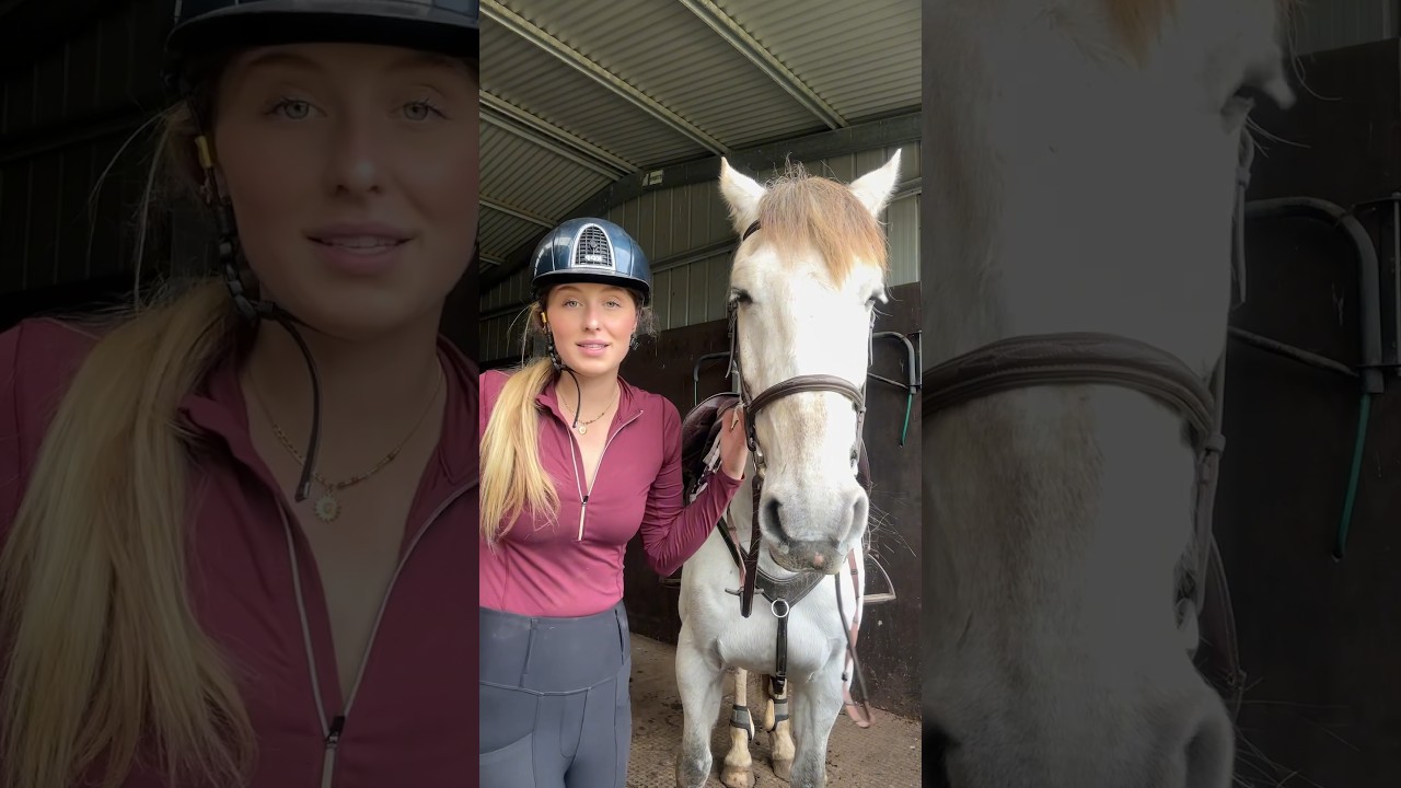 DYEING my grey horses tail black 