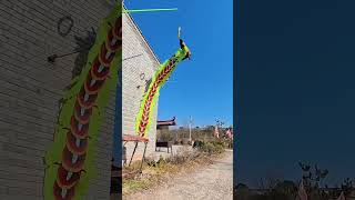 Dog high jump at the wall 2