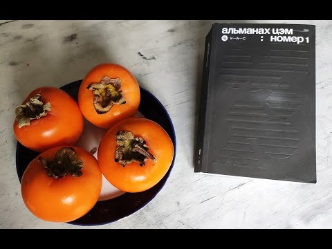 Обзор альманаха ЦЭМ