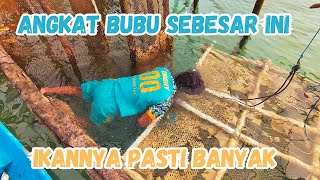HARVESTING TRABS WITH BUNG ENDHY #2 | A FISHERMAN'S STORY