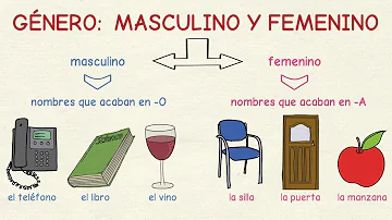 ¿Cómo se llama cuando algo tiene partes masculinas y femeninas?