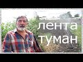 Лента туман (Golden Spray) Полив  огорода. Опыт эксплуатации.