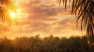 𝗣𝗘𝗡𝗚𝗔𝗠𝗕𝗜𝗟𝗔𝗡 𝗣𝗨𝗦𝗔𝗞𝗔 𝗣𝗘𝗟𝗘𝗕𝗨𝗥 𝗟𝗔𝗠𝗣𝗜𝗥!!!!!