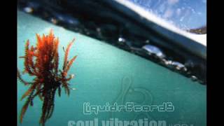 Various ‎– Soul Vibration#001