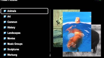 nessMediaCenter - your suitable media center (improvements)