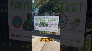 🧭 Exploring Chicago! Wicker park. #chicago #familyvlog #farmersmarket #datenight