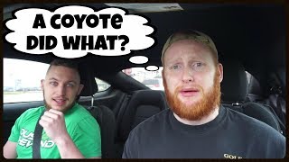 Beard Compeion Mive Changes