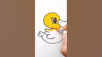 How To Draw a Cute Duck Step by Step!