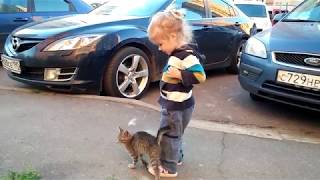 Котёнок милый маленький ластится, играет, кушает сметану! Котёнок милый маленький ластится, играет, кушает сметану!