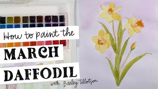 How to Paint a Watercolor Daffodil - with outline Paint Your Birth Flower March Daffodil