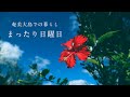 奄美大島vlog_まったり日曜日