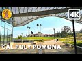 4K Cal Poly Pomona Campus Walking Tour | 🔊 Binaural Sound