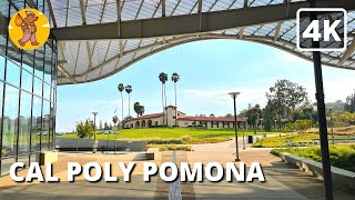 4K Cal Poly Pomona Campus Walking Tour | 🔊 Binaural Sound