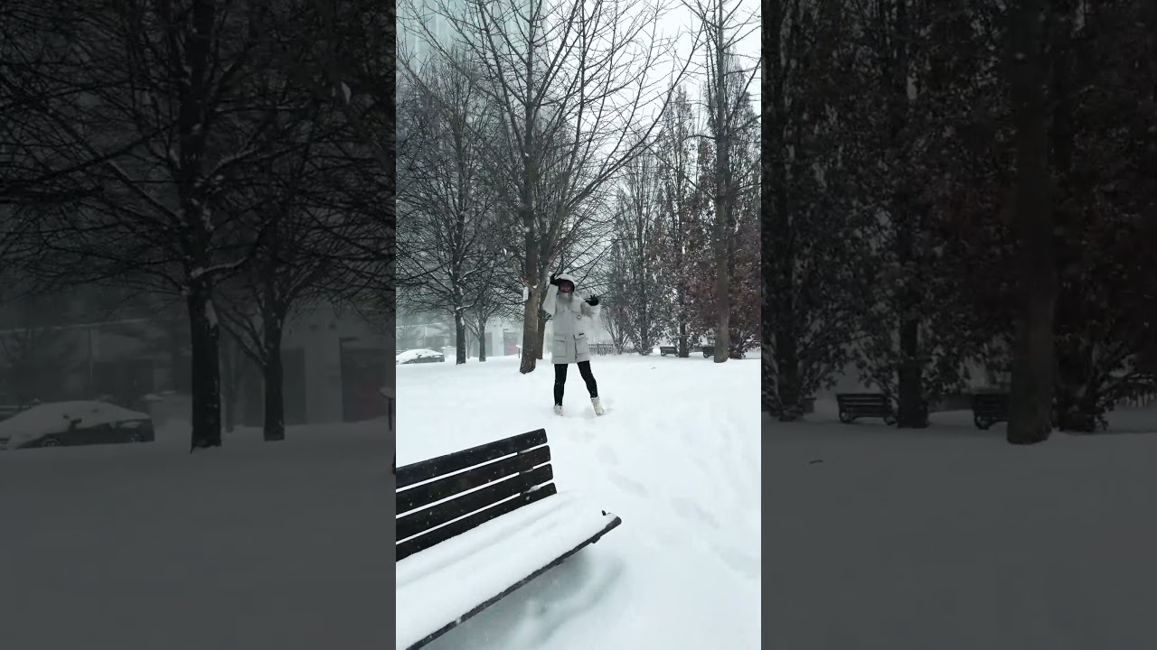 #straykids #kpop #doit #두잇 #skz #snow #wintervibes