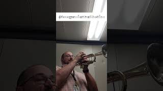 trumpet trumpetplayer intheshed ambatakum trending  ian fun