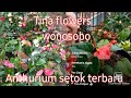 Spesialis anthurium bunga wonosobo wa 081241495584