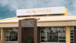 El Ángel Mexicali