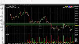 Trading101 - Module 5 (Support&Resistance)