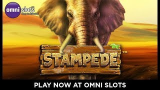 Stampede trailer by Betsoft at Omni Slots screenshot 4