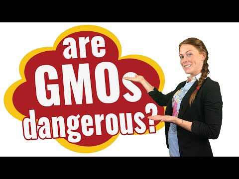 วีดีโอ: การกลายพันธุ์ของยีนในอาหาร อันตรายของ GMOs ต่อมนุษย์และสัตว์