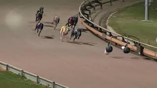 BAL WED 27 NOV 19 R12