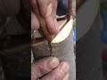 Grafting technique of apple and Japanese fruit