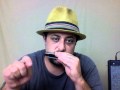 How to Play Blues Harmonica - Blues Harp - Beginner Lesson