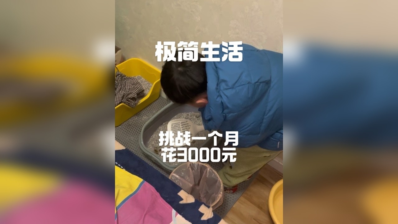 极简生活｜伺候宠物的一天