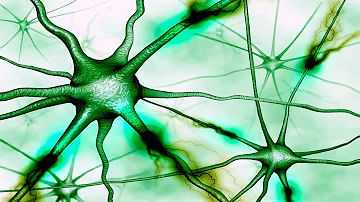 O que estuda a psicobiologia?