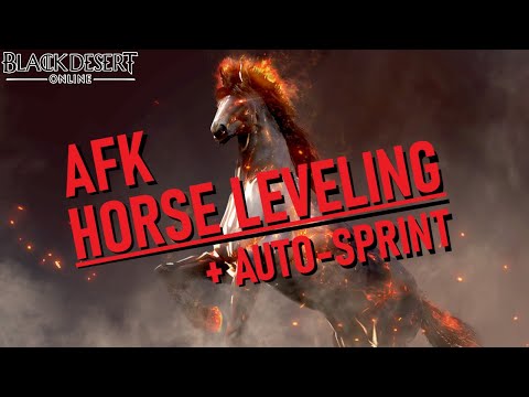 AFK HORSE LEVELING GUIDE | Unlocking Auto-Sprint | Black Desert Online