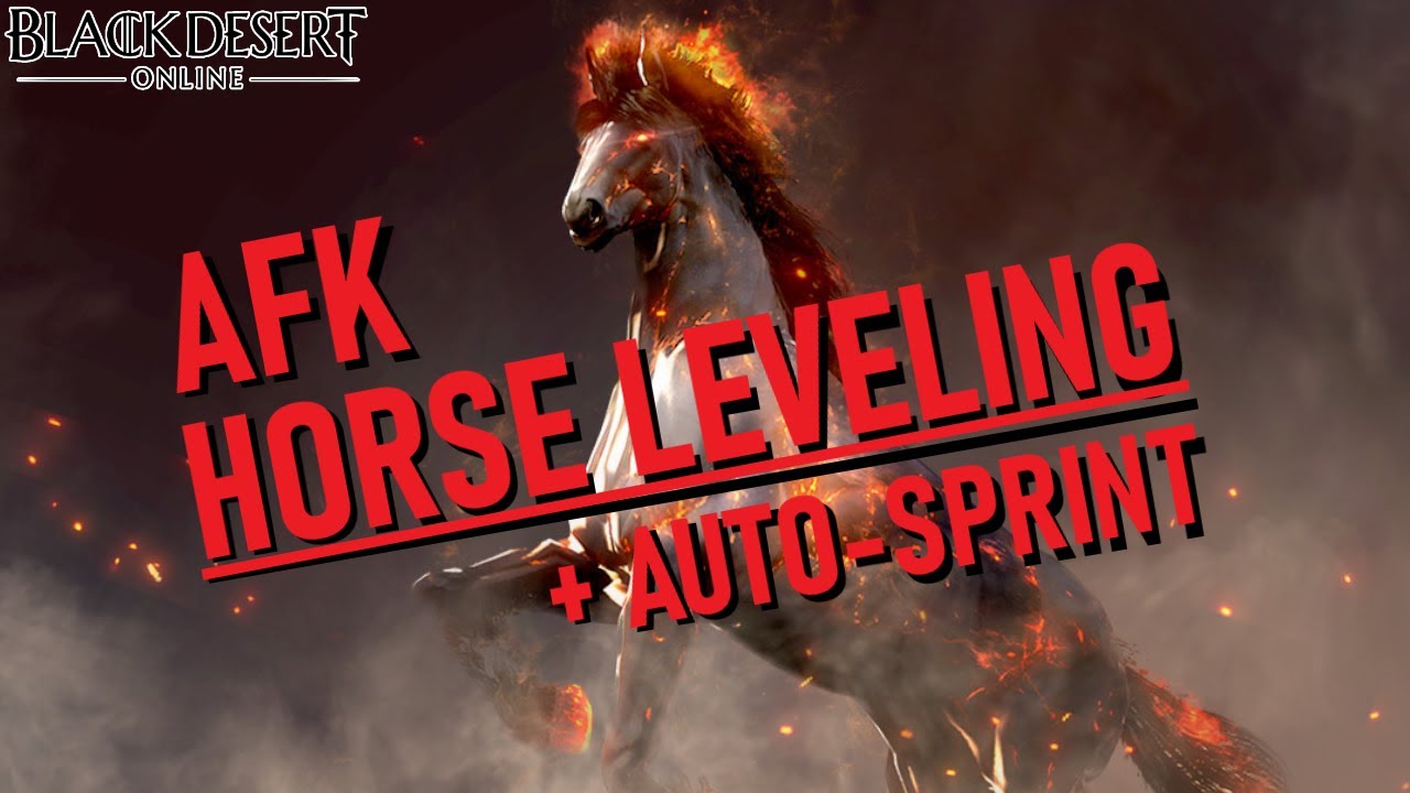 Afk Horse Leveling Guide Unlocking Auto Sprint Black Desert Online Youtube